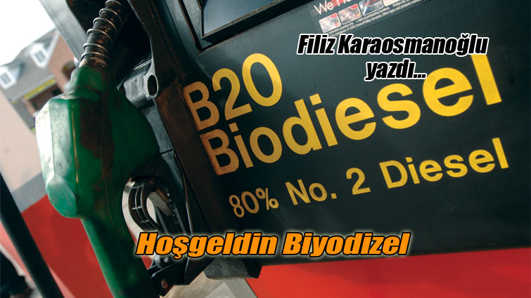 Hoşgeldin Biyodizel