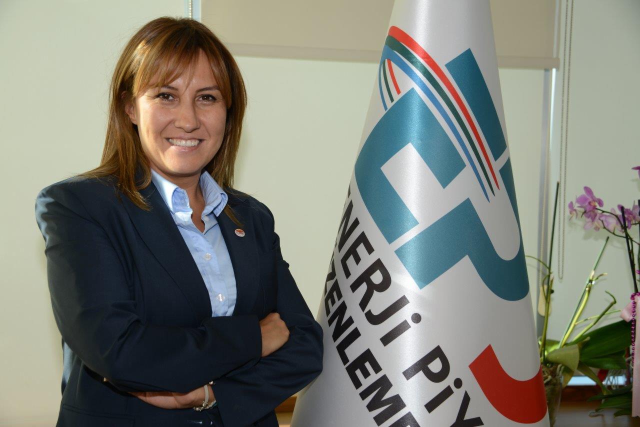 Enerjiye kadın eli