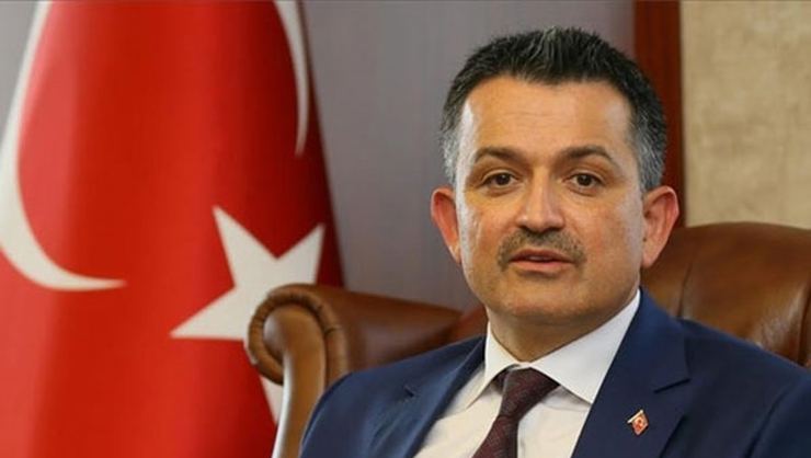 Enerji hattı ve yangın emniyet yolunda yem bitkisi yetiştirilecek