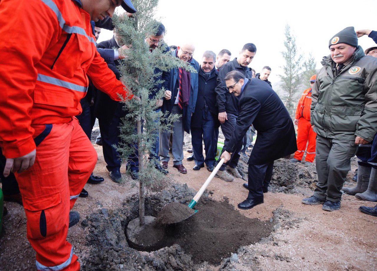 “Bir Enerji Bir Nefes projesiyle 2,8 milyon fidan diktik”