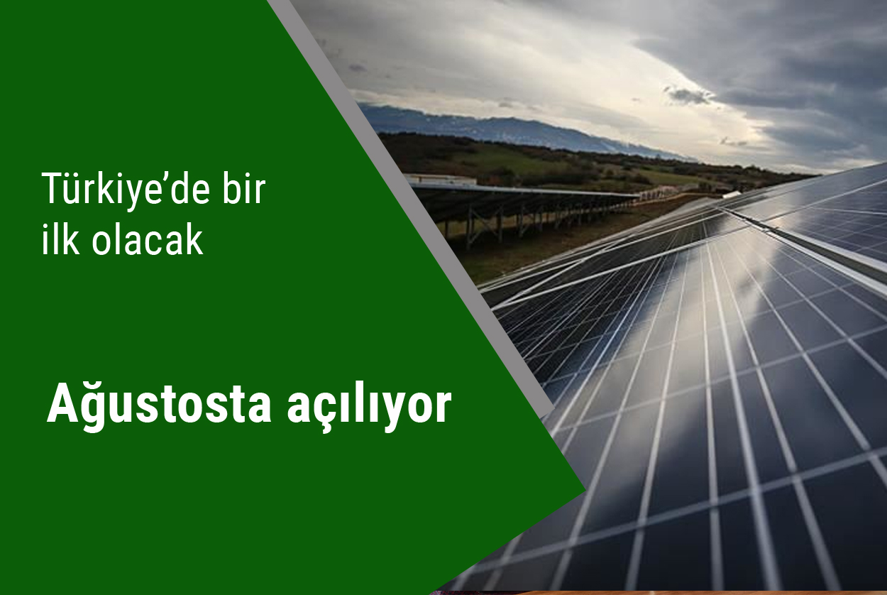 Türkiye’nin ilk entegre güneş paneli üretim fabrikası ağustosta açılıyor