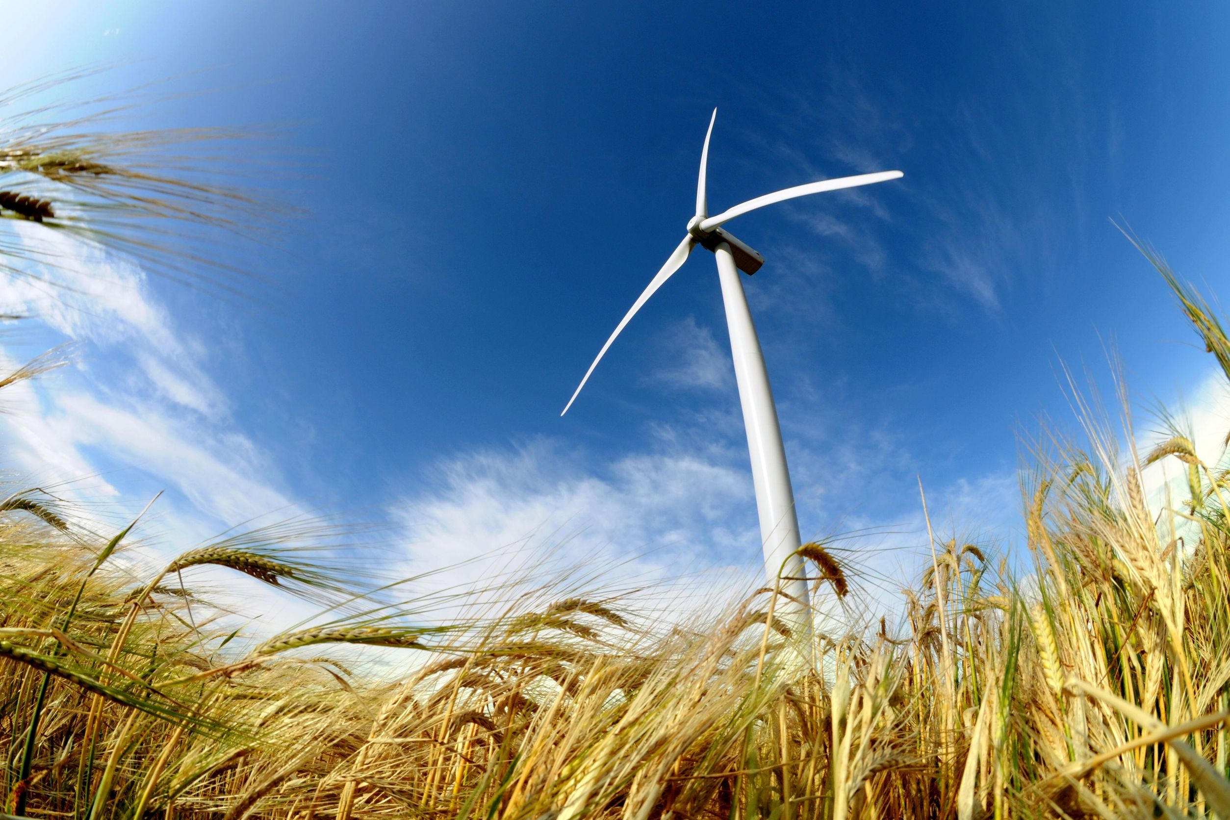 Türkiye rüzgar sanayisinde Avrupa’da 5. sırada