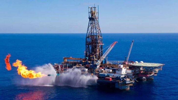 TPAO Karadeniz gazı için ortaklıkları değerlendiriyor