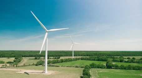 Rüzgar enerjisi tüm dünyada 743 GW kapasiteye ulaştı