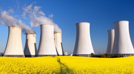 NÜKAD Başkanı Gül Göktepe: “Ekosistemin korunmasında nükleer enerjinin rolünden vazgeçilemez”