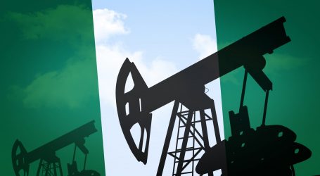 Nijerya, Türkiye’yi ülkesindeki petrol ve doğal gaza yatırıma çağırdı
