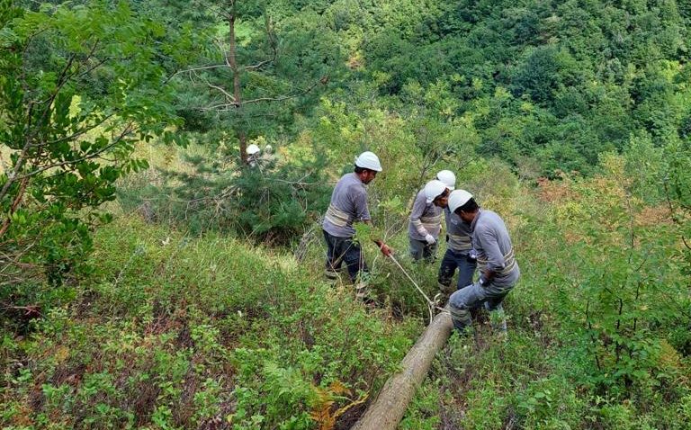 Enerji ve Tabii Kaynaklar Bakanlığı: “Bartın, Karabük ve Zonguldak’ın il, ilçe, belde merkezlerine ve köylerine enerji verildi”