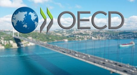 Barış Sanlı Türkiye’nin OECD Daimi Temsilciliği’ne Enerji Müşaviri olarak atandı