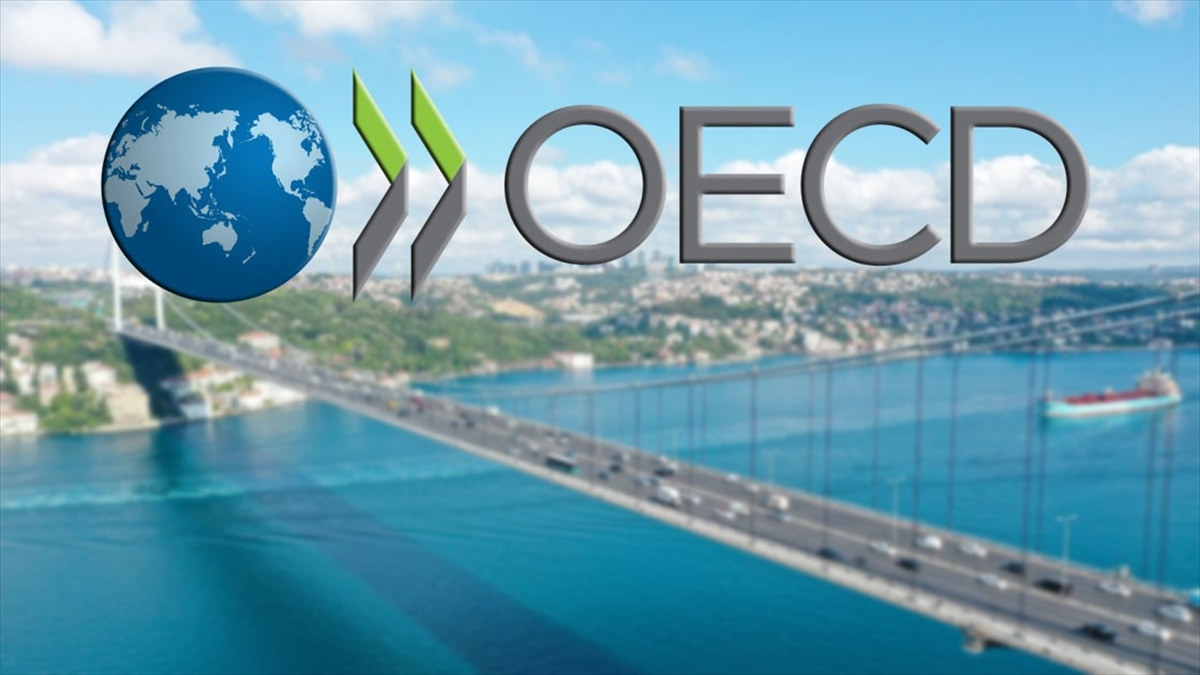 Barış Sanlı Türkiye’nin OECD Daimi Temsilciliği’ne Enerji Müşaviri olarak atandı