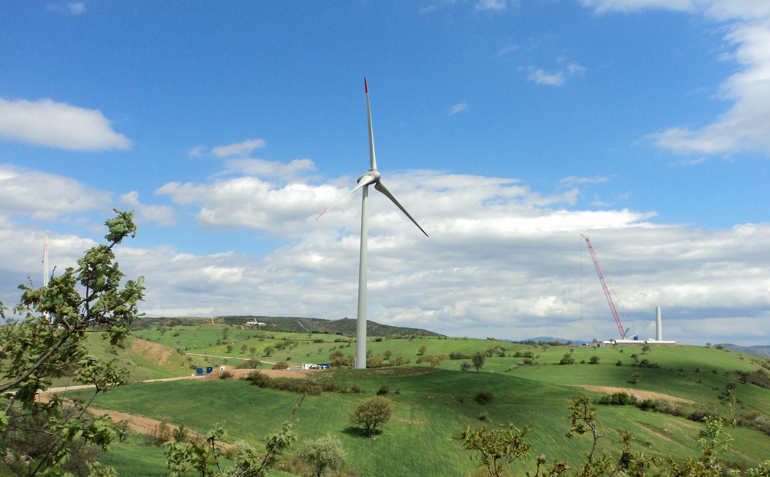Polat Holding ve Maxis’ten yenilenebilir enerjide büyük ortaklık