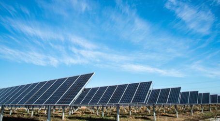 Enerji kooperatiflerinde hedef 2033’e kadar 500 megavat güneş gücüne ulaşmak