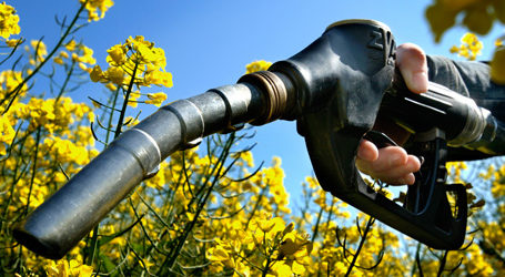 Benzin türlerine etanol harmanlama zorunluluğu 2022 yılı için yüzde 2 oldu