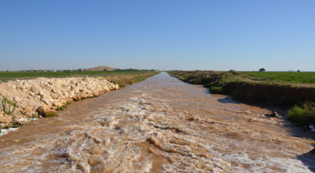 Mardin’de elektrik borcunu ödemeyen toprak sahiplerine haciz uyarısı