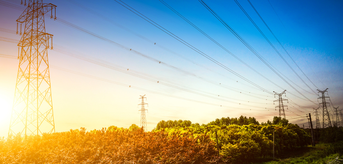 Günlük elektrik üretim ve tüketim verileri