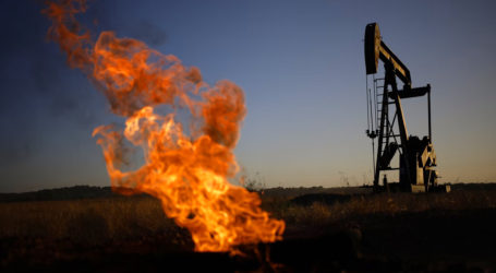 Nijerya gelecek yıl petrol ürünleri ithalatını bitirmeyi hedefliyor