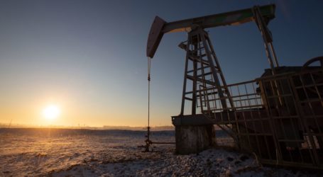 Rus Ural petrolünün fiyatı varil başına 46,8 dolardan işlem gördü