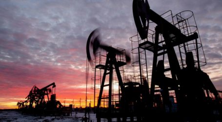 BAE: ‘OPEC+ petrolde arz talep dengesini koruyan teknik kuruluş olarak kalacak’
