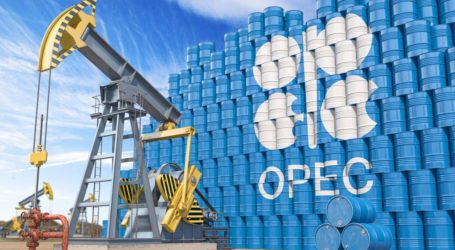 Umman: OPEC+ kararları tamamen ekonomik kaygılarla alındı