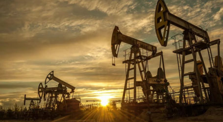 Türkiye’nin petrol ithalatı temmuzda yüzde 2,6 azaldı