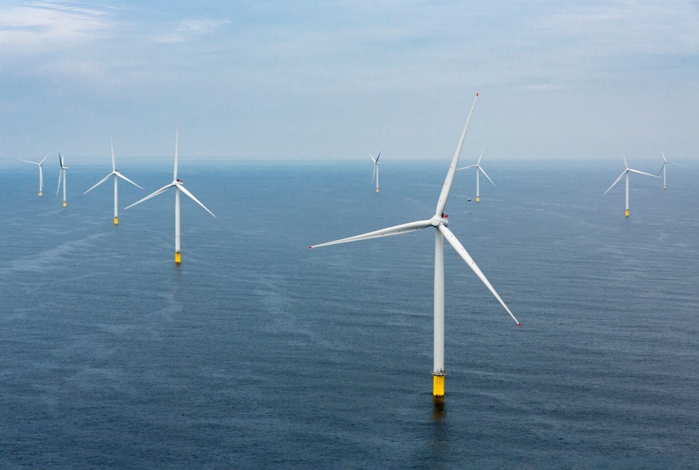 SHURA ve TÜREB’den ‘deniz üstü rüzgar enerjisi ihaleleri’ raporu