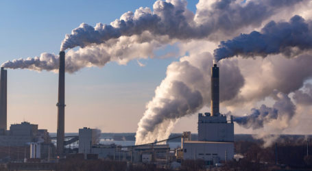 Polonya İklim Bakanı, nükleer enerjiye geçinceye kadar kömür yakıtı sonlandırmayacaklarını bildirdi