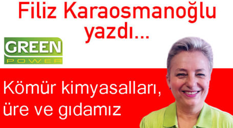 Kömür kimyasalları, üre ve gıdamız