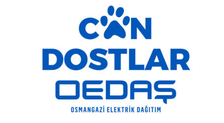 OEDAŞ’a uluslararası ödül