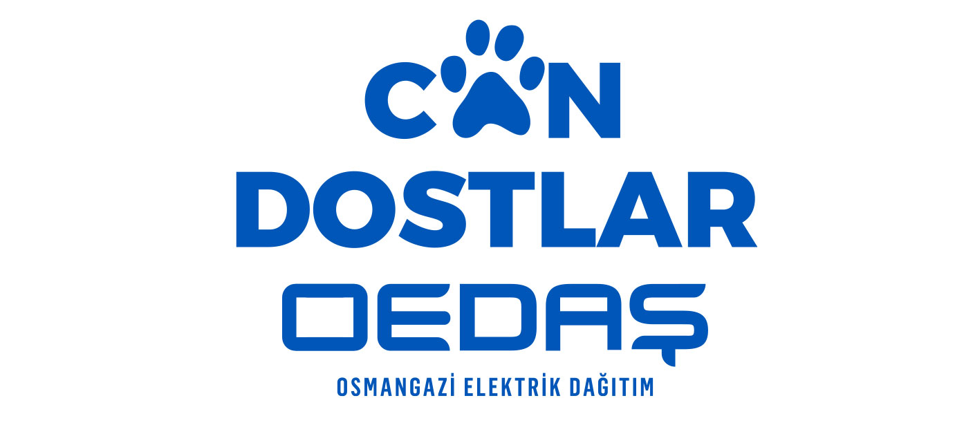 OEDAŞ’a uluslararası ödül