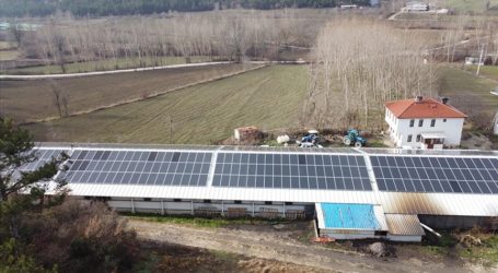 Bolu’da tavuk üreticileri elektrik ihtiyacını güneş enerjisinden karşılıyor