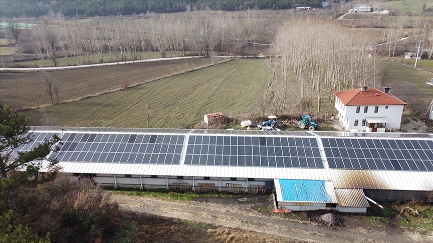 Bolu'da tavuk üreticileri elektrik ihtiyacını güneş enerjisinden karşılıyor