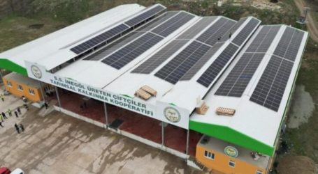 Bursa’daki soğuk hava deposunun panelleri yılda 1,5 milyon liralık elektrik üretecek