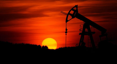 Nijerya petrol üretimi günde 1,6 milyon varile yükseldi