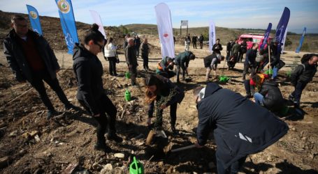 Enerjisa Üretim’den Çanakkale Zaferi’nin 108. yılına özel fidan dikimi