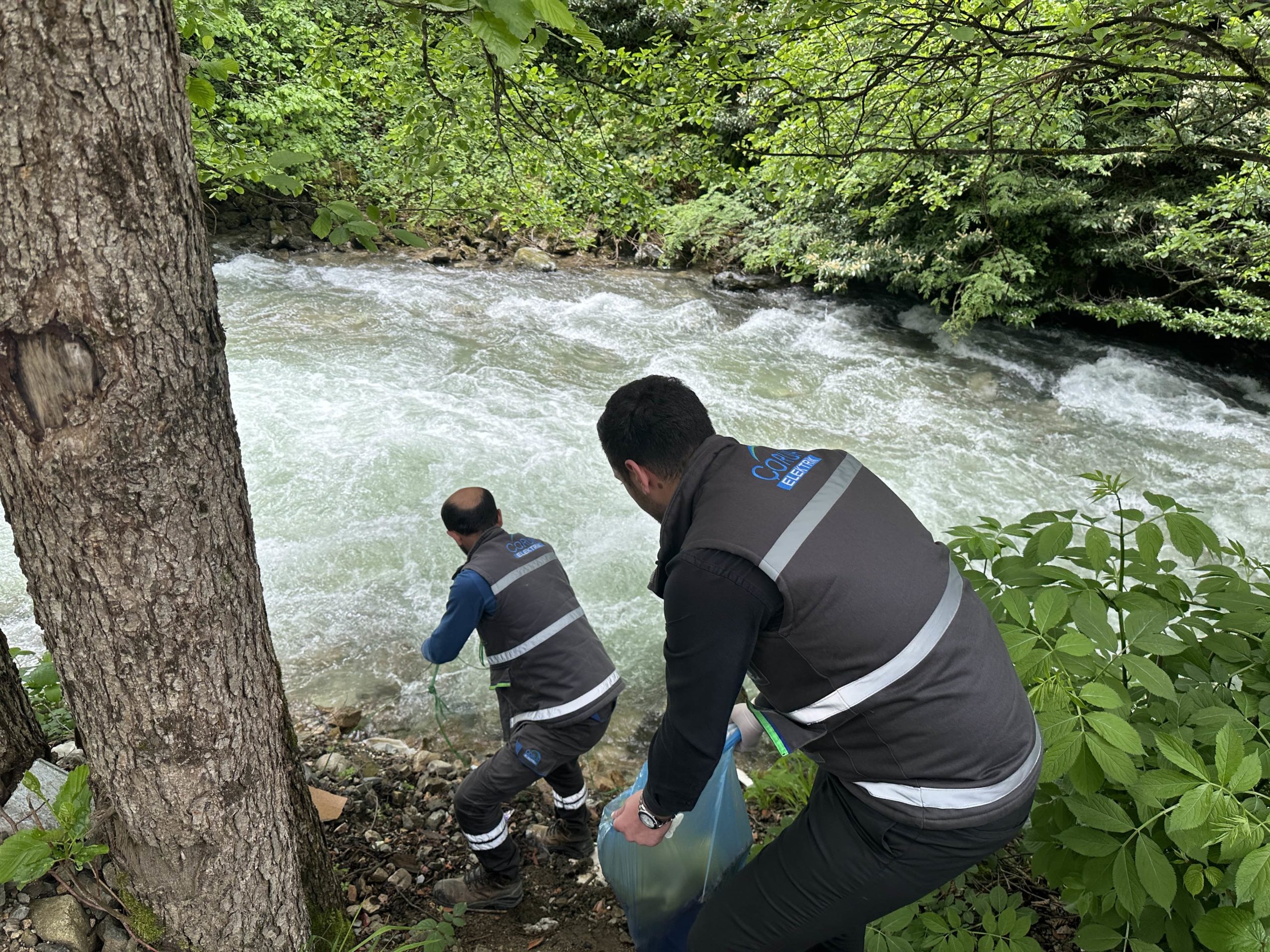 Çoruh EDAŞ’tan Çevre Koruma Haftası’nda ‘Derelerimiz Temiz Aksın’ projesi