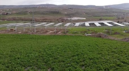 Tarım GES uygulaması Ankara’nın Ayaş ilçesinde elektrik üretmeye başlıyor