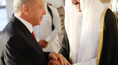 Cumhurbaşkanı Erdoğan, Katar Emiri Al Sani’ye Togg hediye etti