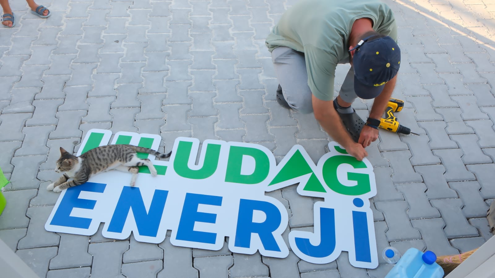 Uludağ Enerji, Hatay kampüsünde sokak hayvanlarını yalnız bırakmadı