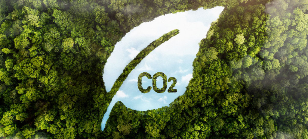 Küresel düşük karbonlu hidrojen üretimi 2030'da 38 milyon tona ulaşacak
