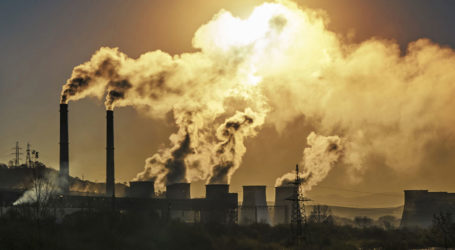 Karbon piyasası Türkiye’nin yeşil dönüşüm sürecinde kilit rol oynayacak