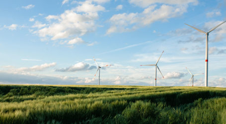 Enerji ve Tabii Kaynaklar Bakanlığı yeni YEKA alanı belirledi