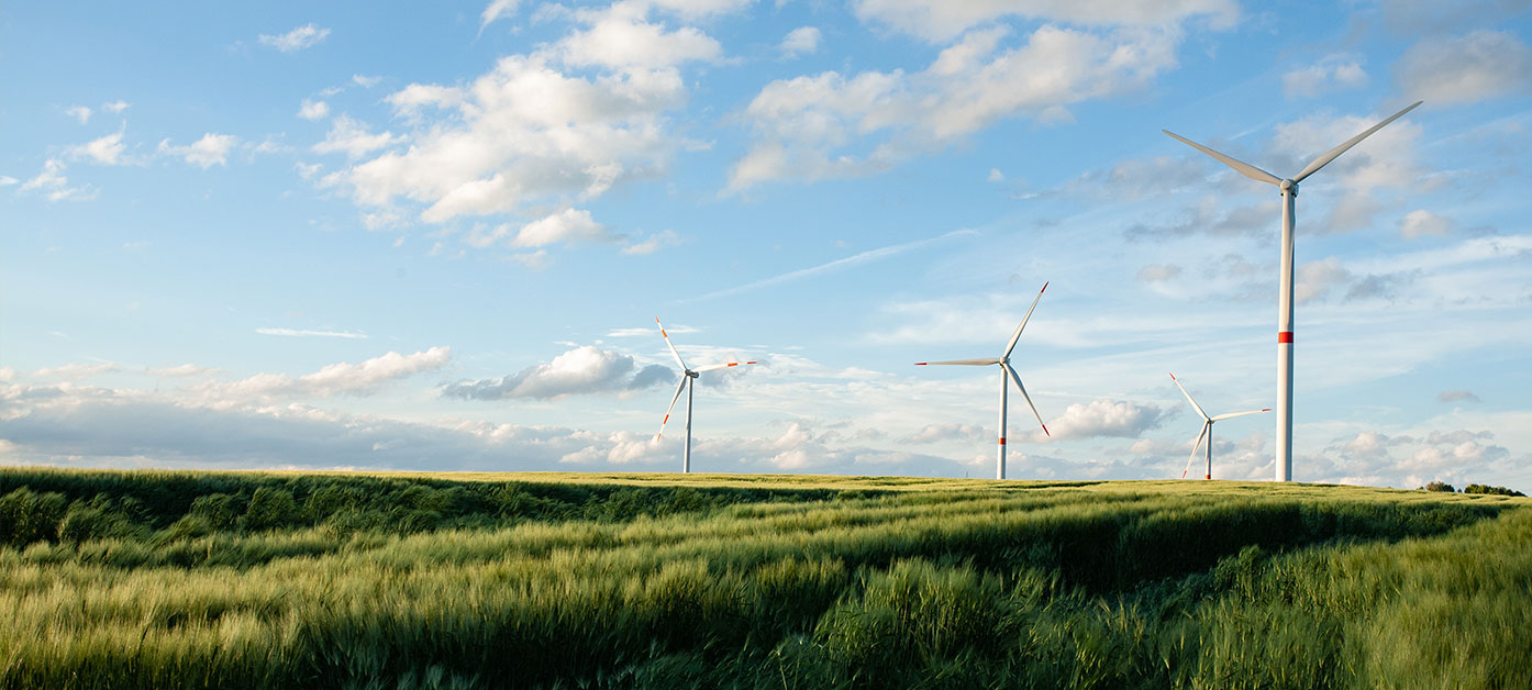 Enerji ve Tabii Kaynaklar Bakanlığı yeni YEKA alanı belirledi