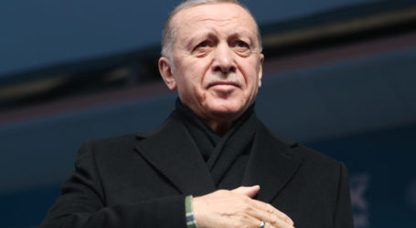 Cumhurbaşkanı Erdoğan, Saray ve Başkale doğal gaz arzı için tarih verdi