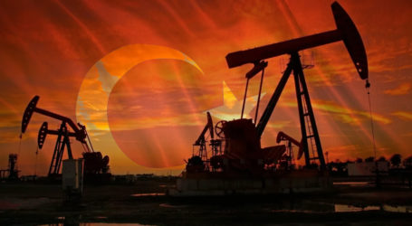 Türkiye’nin petrol ithalatı şubatta yüzde 11 arttı