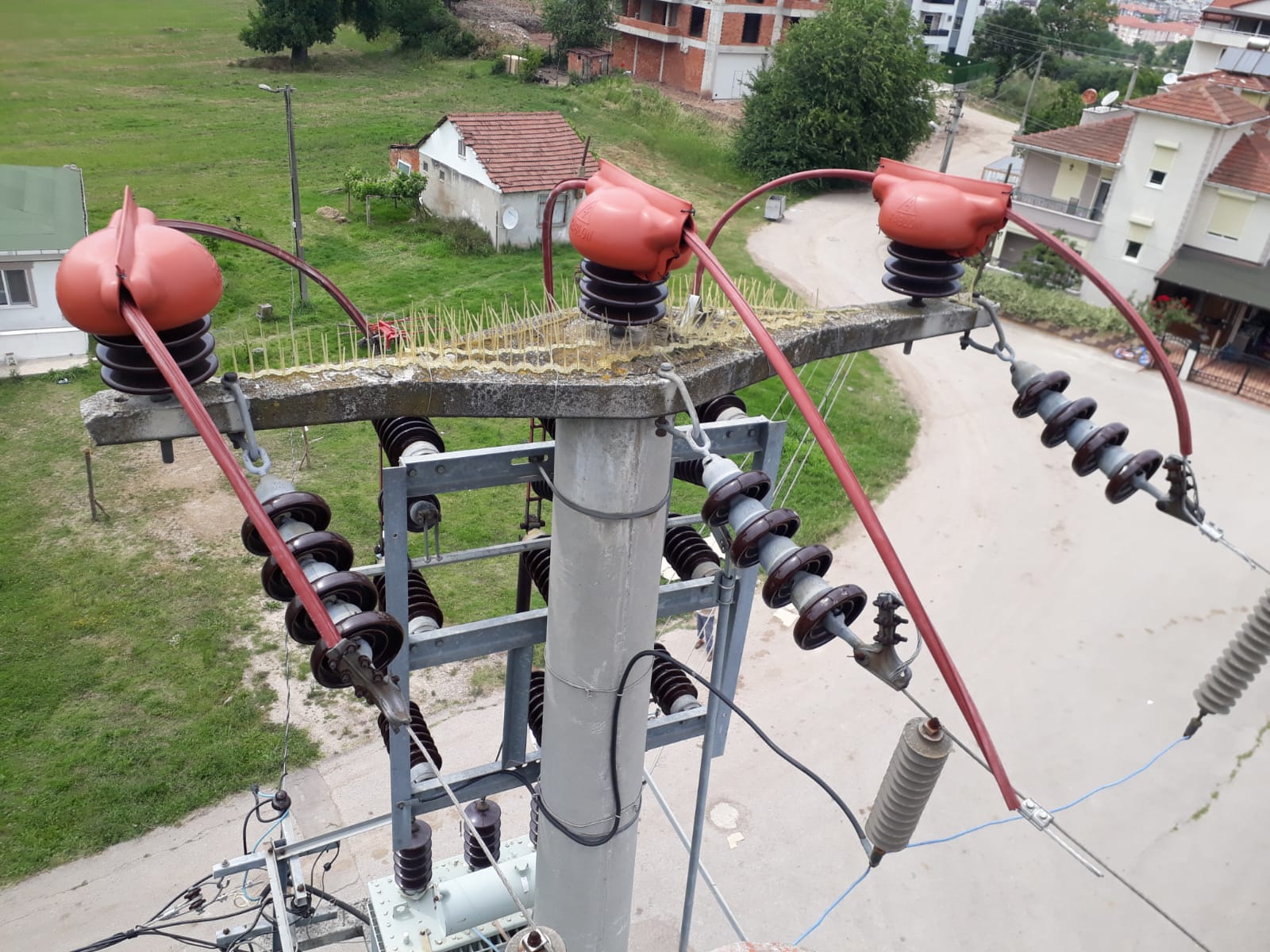 Elektrik direklerine konan leylekler için tedbir alınıyor