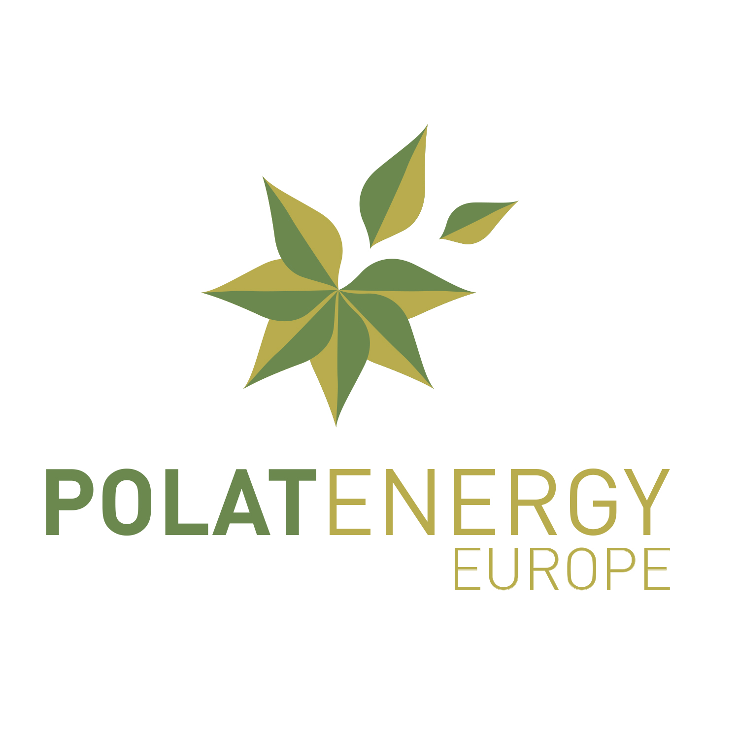 Polat Enerji, yurt dışı yatırımlarına Polat Energy Europe ile devam edecek