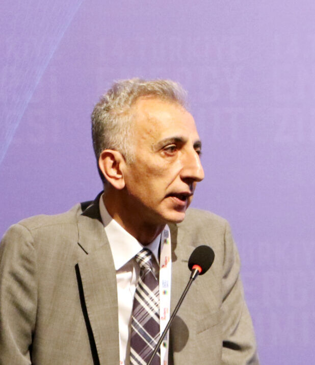 FULMEN GROUP Yönetim Kurulu Başkanı Alireza Shirani