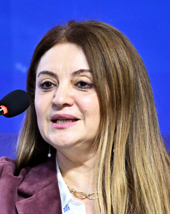 Sabancı Üniversitesi Mühendislik ve Doğa Bilimleri Fakültesi Öğretim Üyesi Prof. Dr. Selmiye Alkan Gürsel