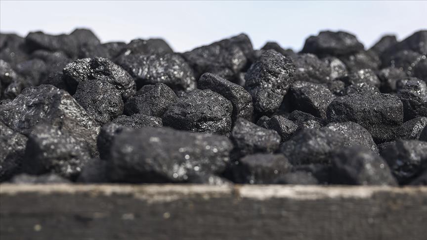 Bu yıl rekor kıran küresel kömür talebinin 2027’ye kadar yatay seyretmesi bekleniyor