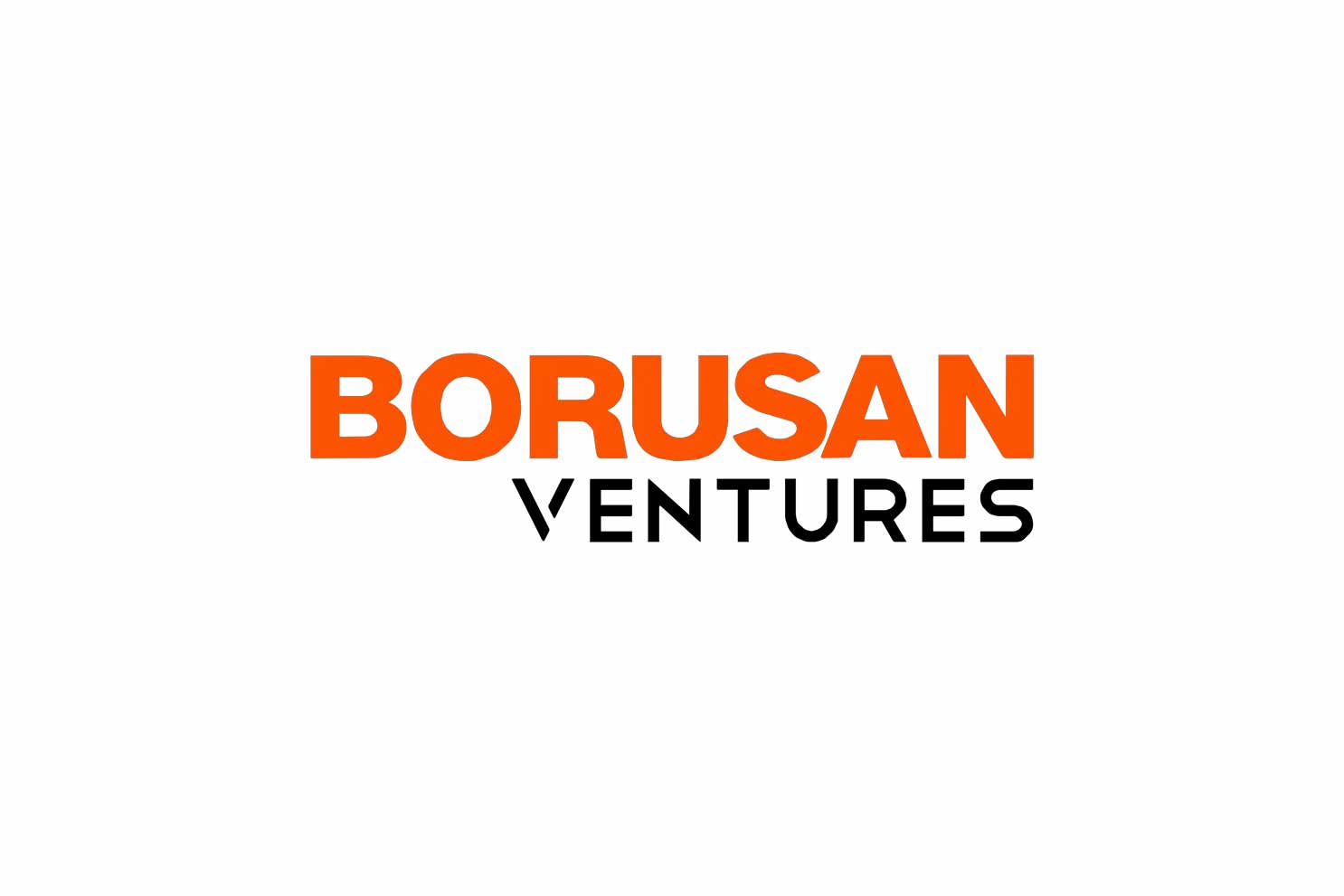 Borusan Ventures, enerji depolama projelerinin karlılığını artıran Tyba’ya yatırım yapıyor