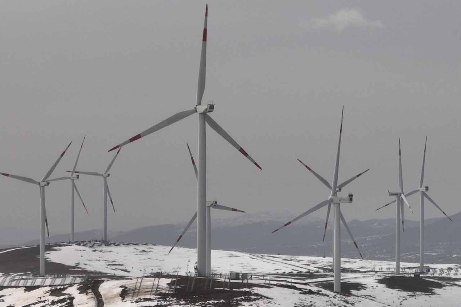 Eksun Gıda’dan yeşil enerjiye 14,1 Milyon Euroluk yatırım